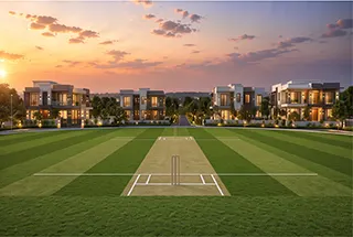 Cricket Ground 